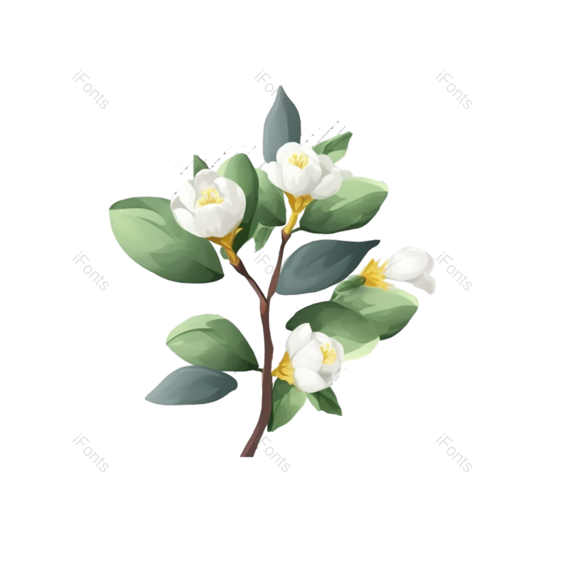 圆点图片,白色背景元素,白色的花PNG,免抠素材